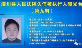 海南老赖爆料案件视频,案件视频揭露惊人内幕